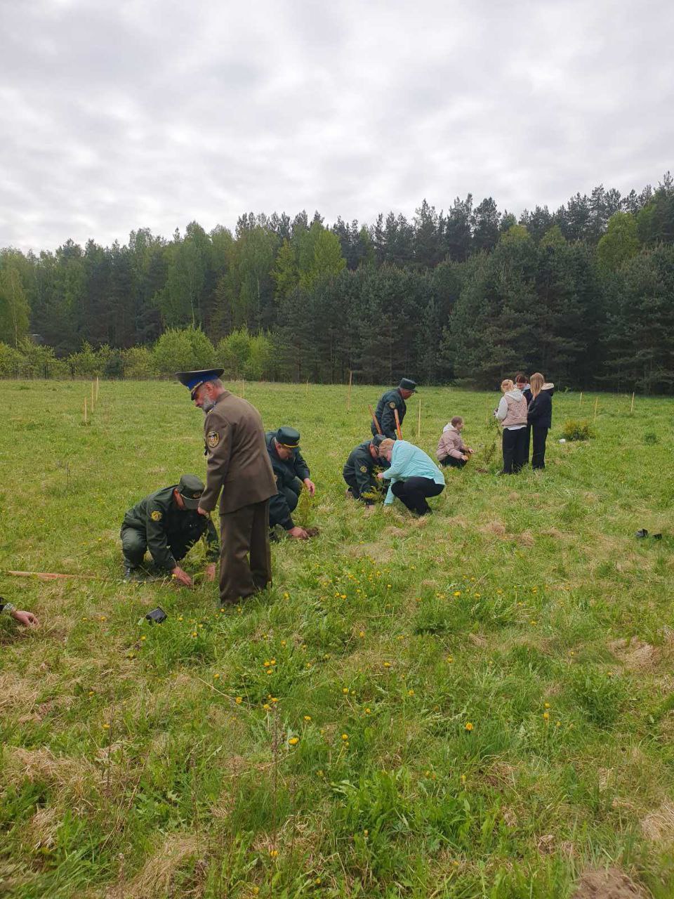 photo 2025 05 08 12 08 39