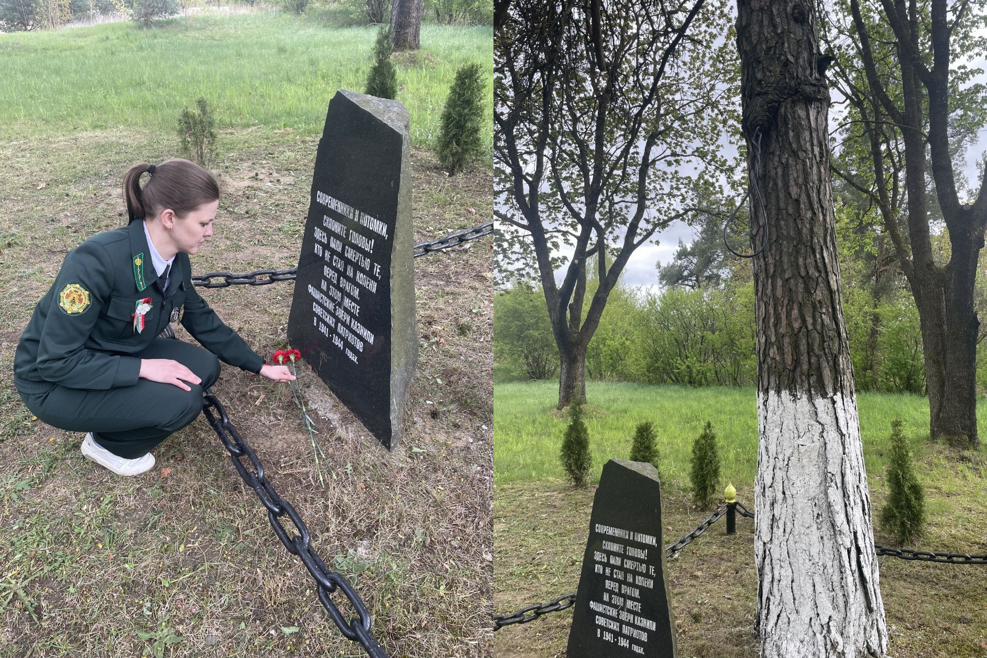 плещеницы