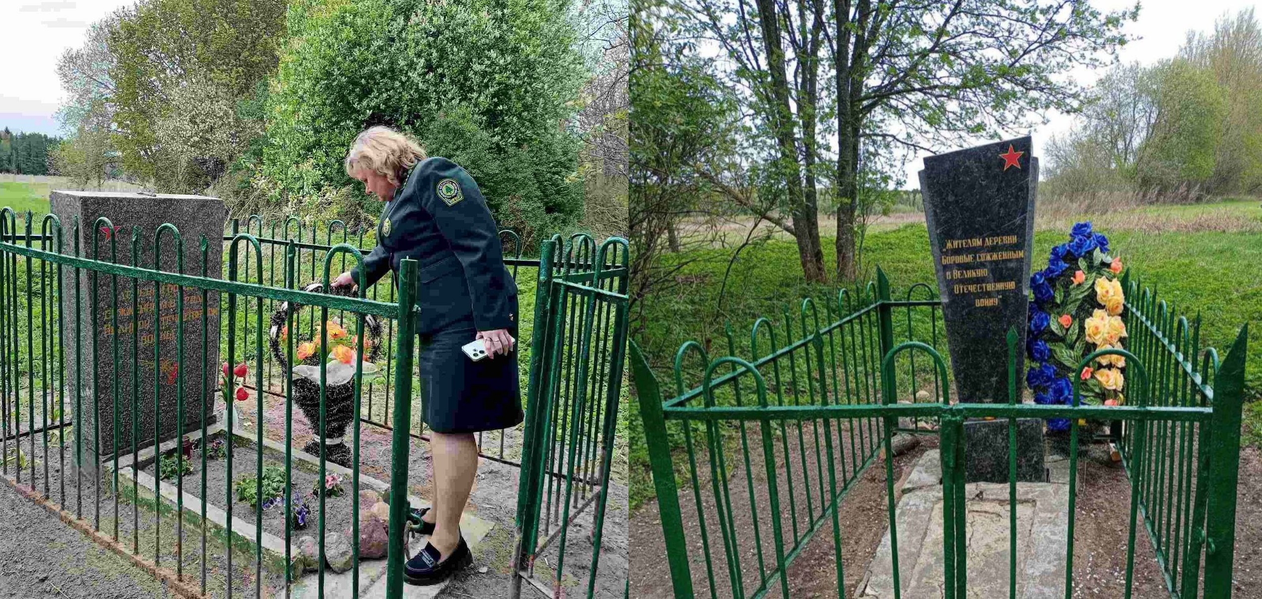 семково