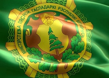 Руководство Министерства лесного хозяйства Республики Беларусь