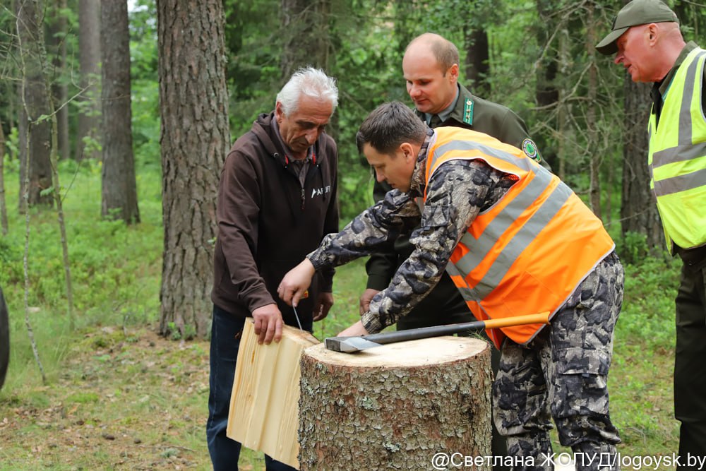 photo 2025 06 16 15 06 33