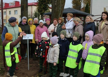 В Логойске появилась «Аллея поколений»