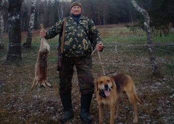 Осенне-зимний сезон охоты на пушные ненормируемые виды охотничьих животных