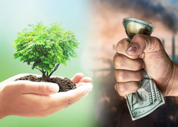 Обманули сами себя? Ряд работников отрасли задержан по подозрению в коррупционных преступлениях