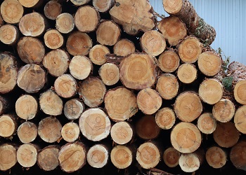 Round timber